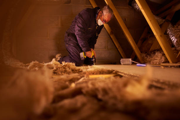 Best Affordable Insulation Services  in USA